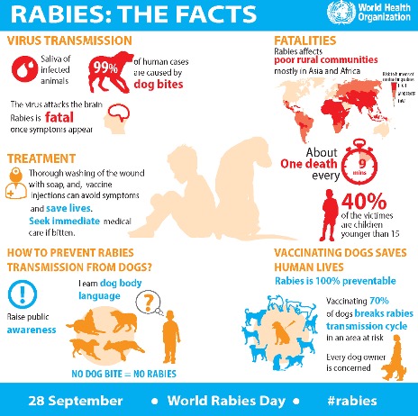 Rabies facts