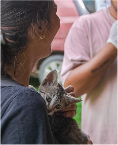Animal Health Camp - kitten