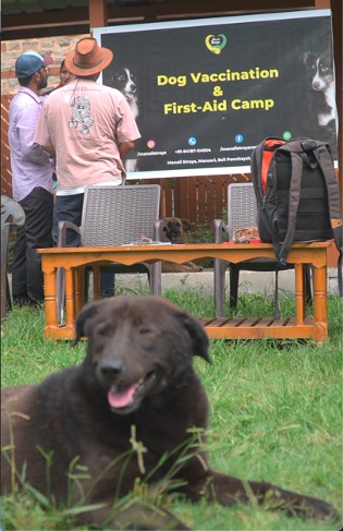 Animal Health Camps - sign with dog