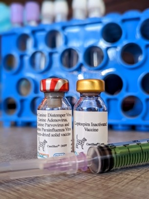 Core vaccine against parvo and distemper