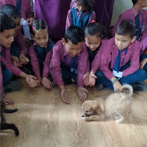 Compassion Education - kids observing a puppy