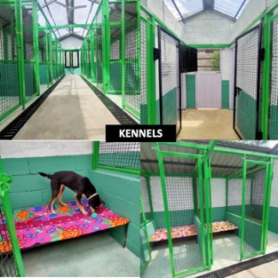 Facilities - Kennels