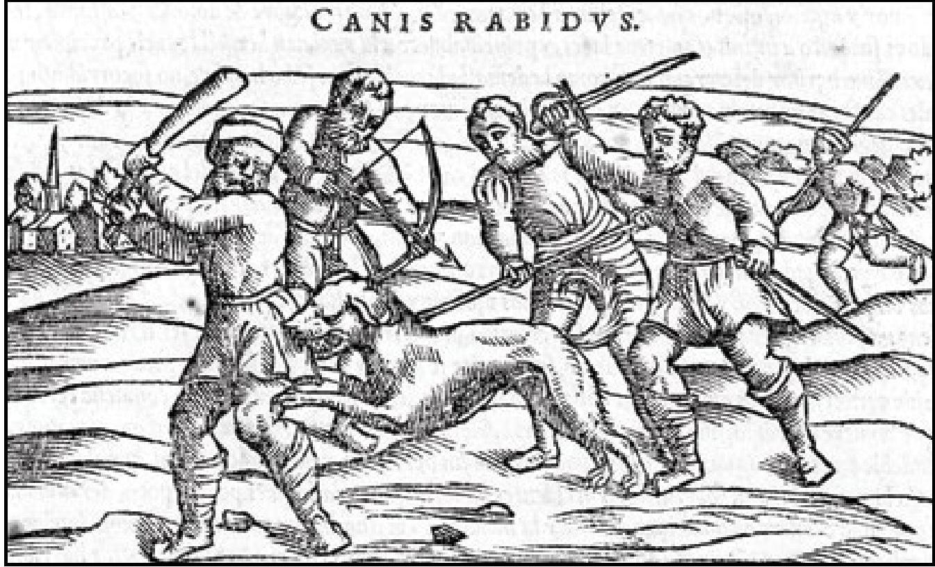 Rabies - Historical Image of a mob beating a rabid dog