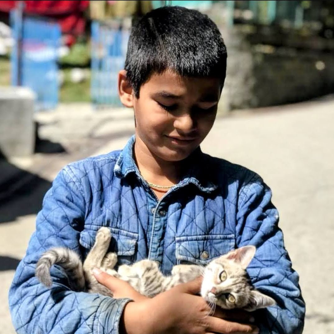 compassion education - boy holding a cat