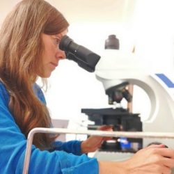 Manali Strays facilities - microscopy